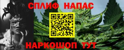 ГАЛЛЮЦИНОГЕННЫЕ ГРИБЫ Новозыбков