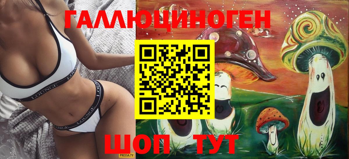 Псилоцибиновые грибы ЛСД Новоалтайск